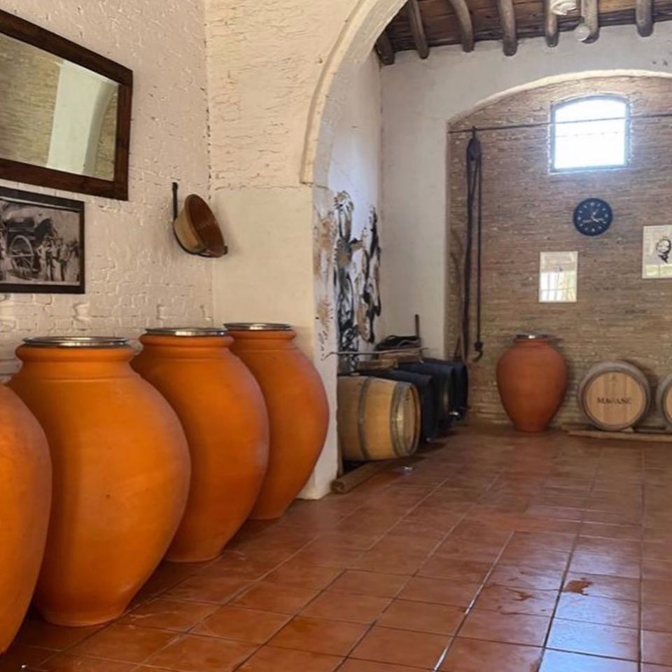 Bodegas Magasè