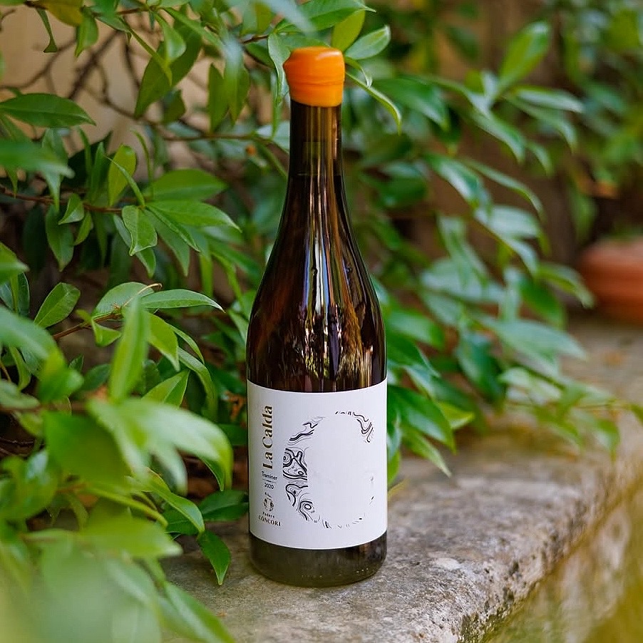 Podere Concori