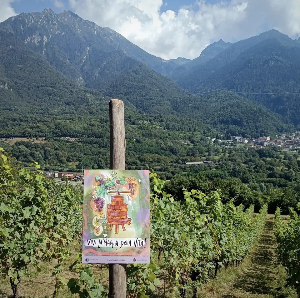 Az. Agr. La Muraca