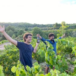Catas vino natural La Rural
