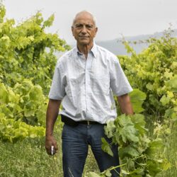 Quinta da Palmirinha