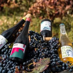 Clan del Vino vino natural